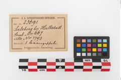 Etiketten zu Bronzeschale (NHMW-PRAE-025691)